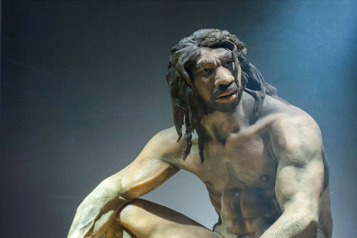 De miljoen jaar oude schedel die onze menselijke geschiedenis herschrijft