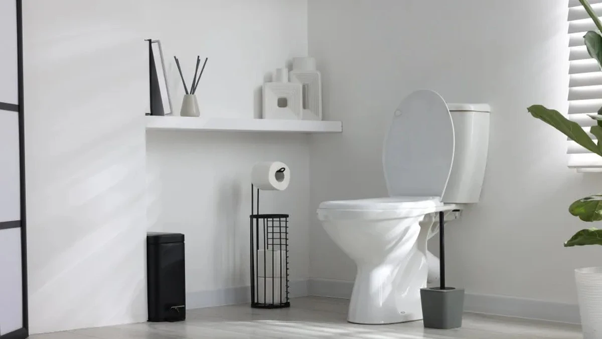 Waarom ervaren schoonmakers altijd azijn rond de voet van het toilet gieten