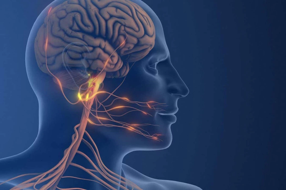 Waarom wetenschappers een vergeten neurologisch pad uit de jaren 90 heropenen voor migraine