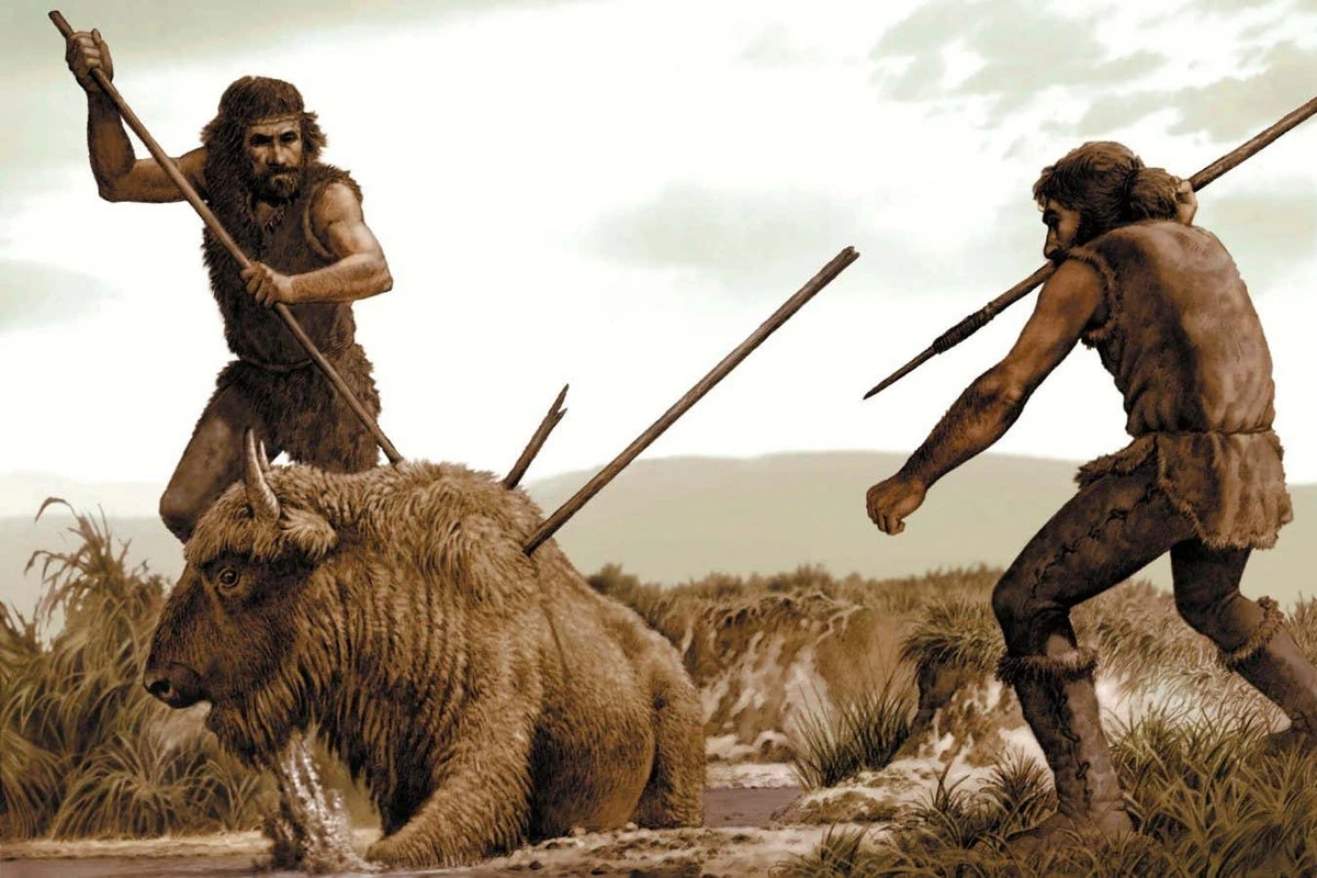 De verborgen houten tool: de Griekse vondst die alles verandert