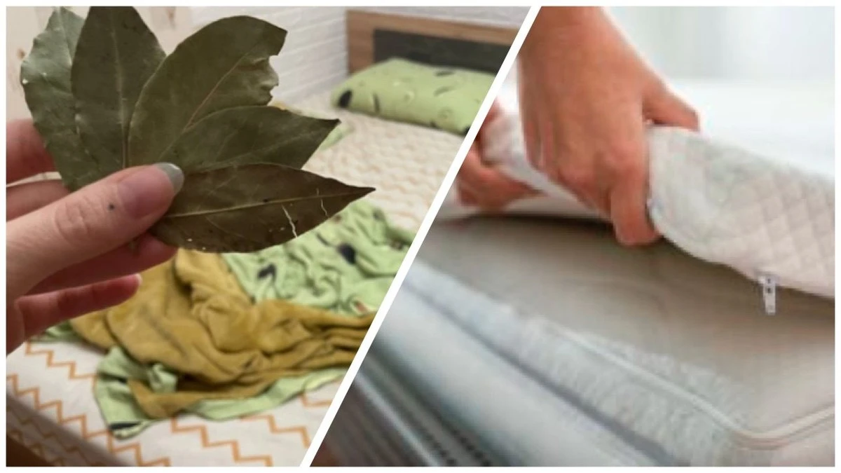Waarom verstandige mensen elke zaterdag 7 laurierblaadjes onder hun matras leggen