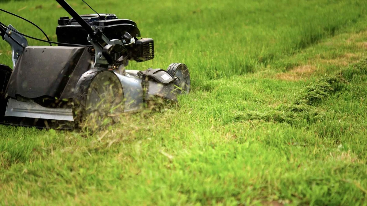 Waarom ervaren tuiniers wachten met maaien tot de thermometer precies 7 graden aangeeft