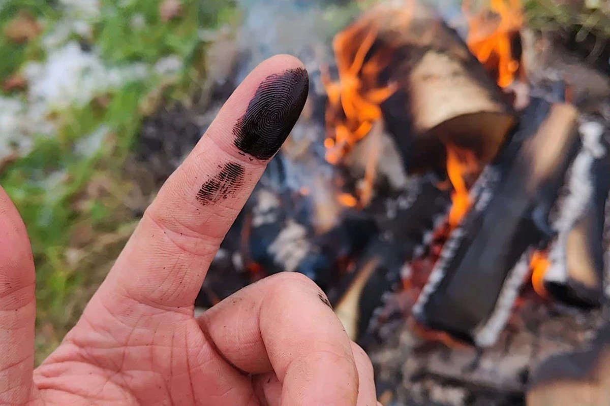 Waarom Neanderthalers berkenteer op hun wonden smeerden