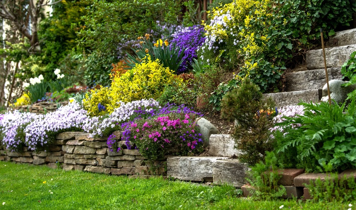 Waarom ervaren tuiniers altijd ezelsoren op hun helling planten