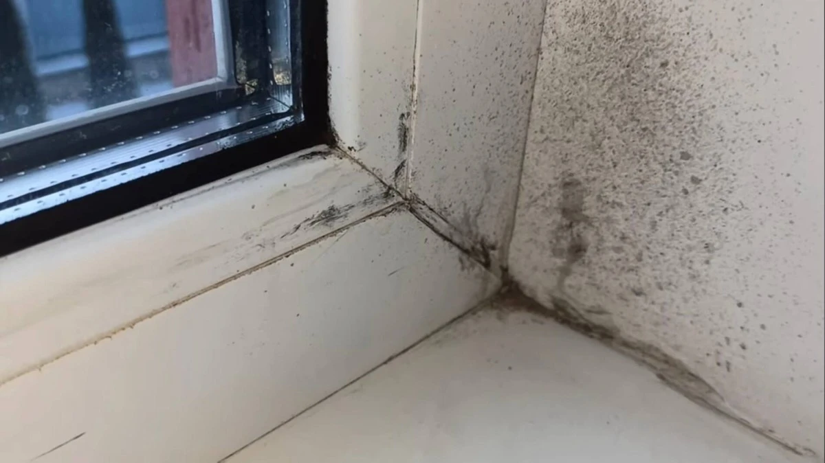 Waarom ervaren schoonmakers altijd een fles azijn in de badkamer laten staan