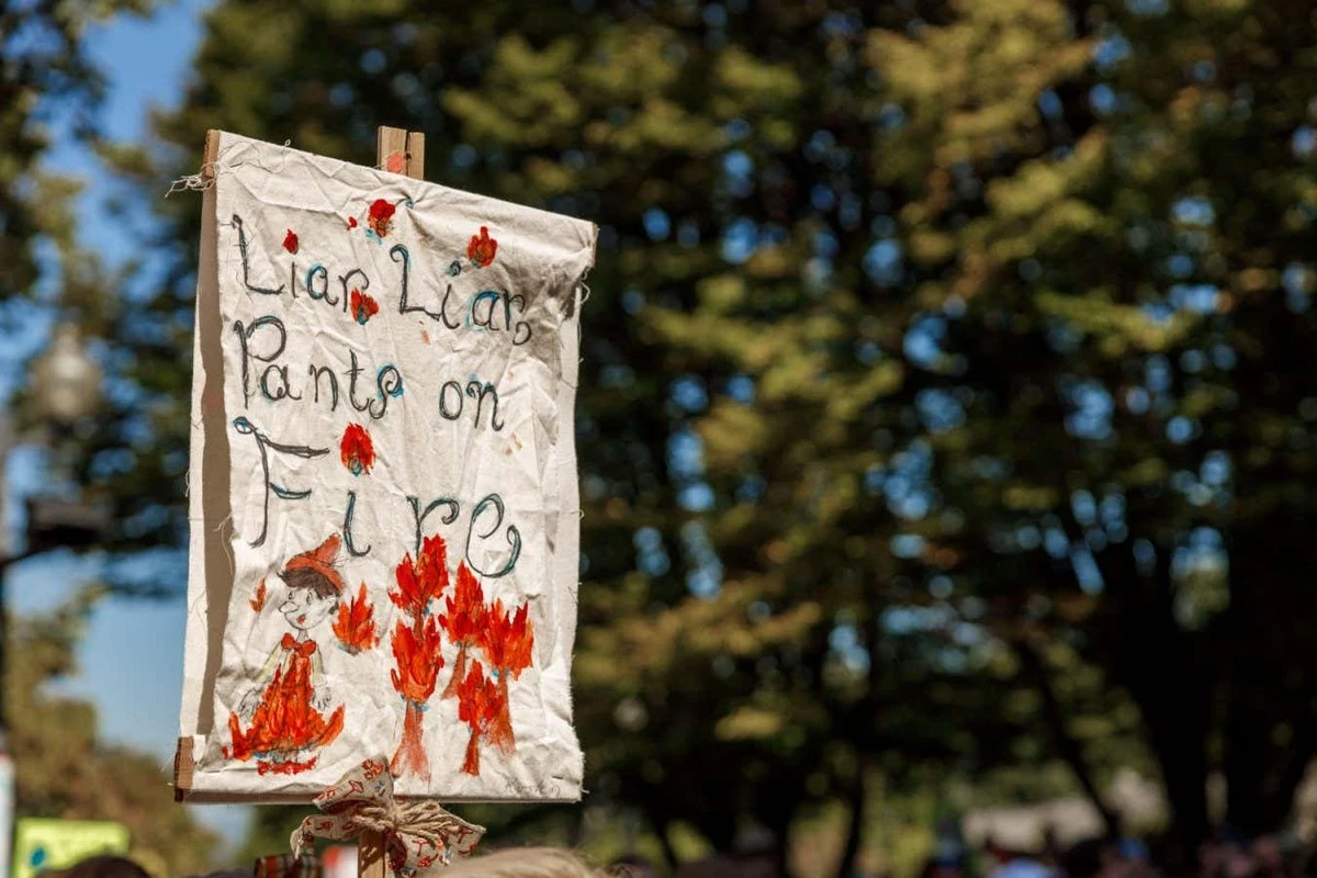 Waarom ervaren managers altijd een spons in hun plantenpot leggen