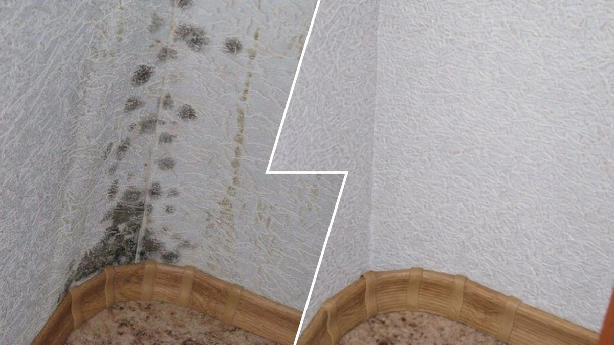 Waarom ervaren schoonmakers azijn en waterstofperoxide op behang spuiten