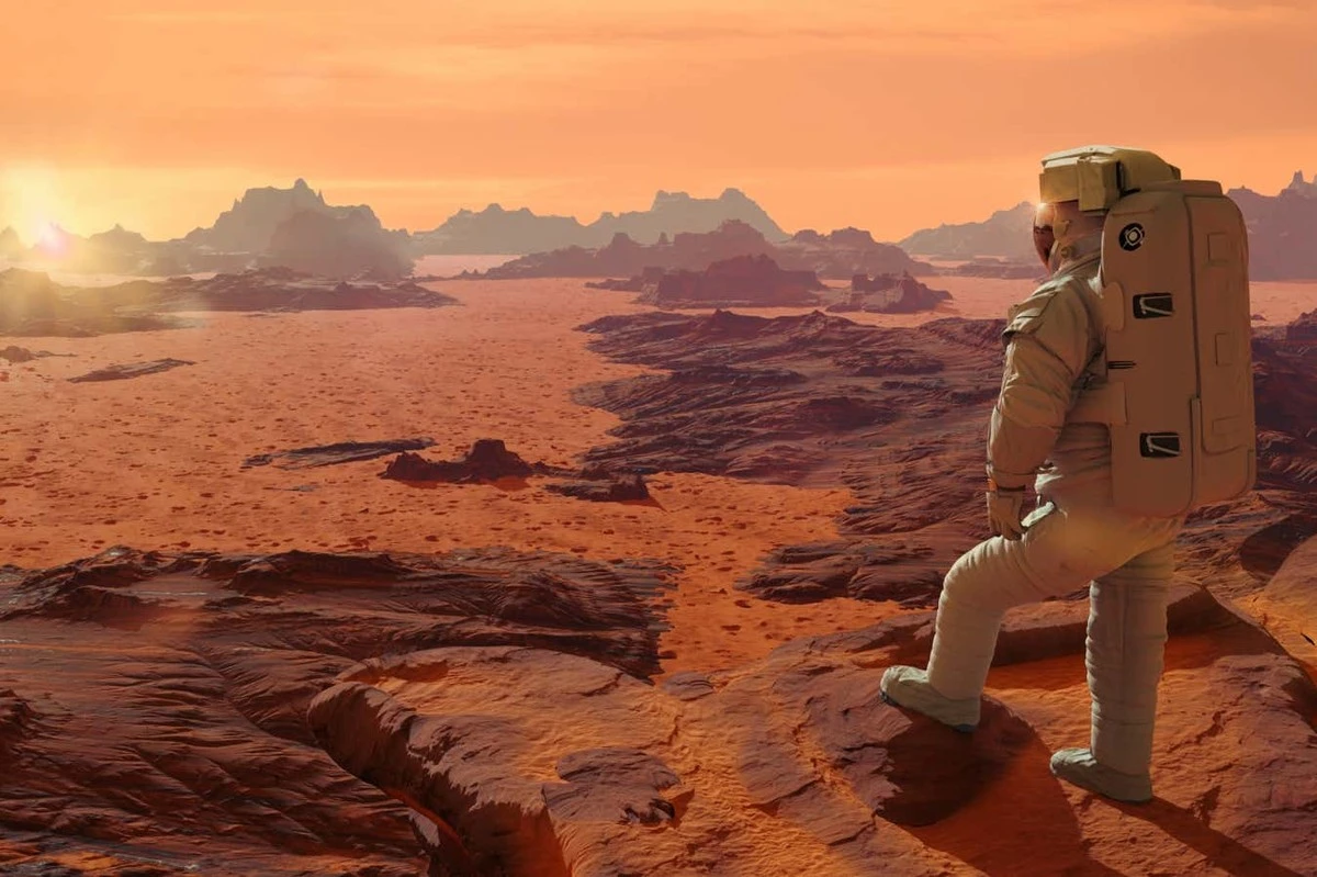 Waarom sci-fi experts deze maand massaal kiezen voor boeken over schimmels en tijdreizen