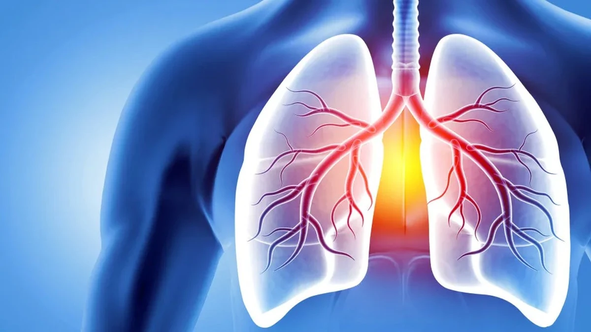 Waarom een tekort aan dit lever-eiwit de oorzaak kan zijn van uw kortademigheid