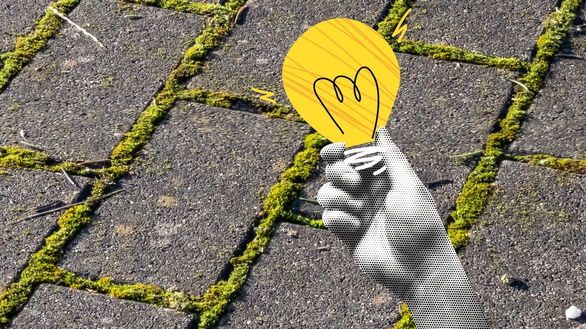 Waarom ervaren tuiniers steeds vaker een fles cola in de voegen van hun terras gieten