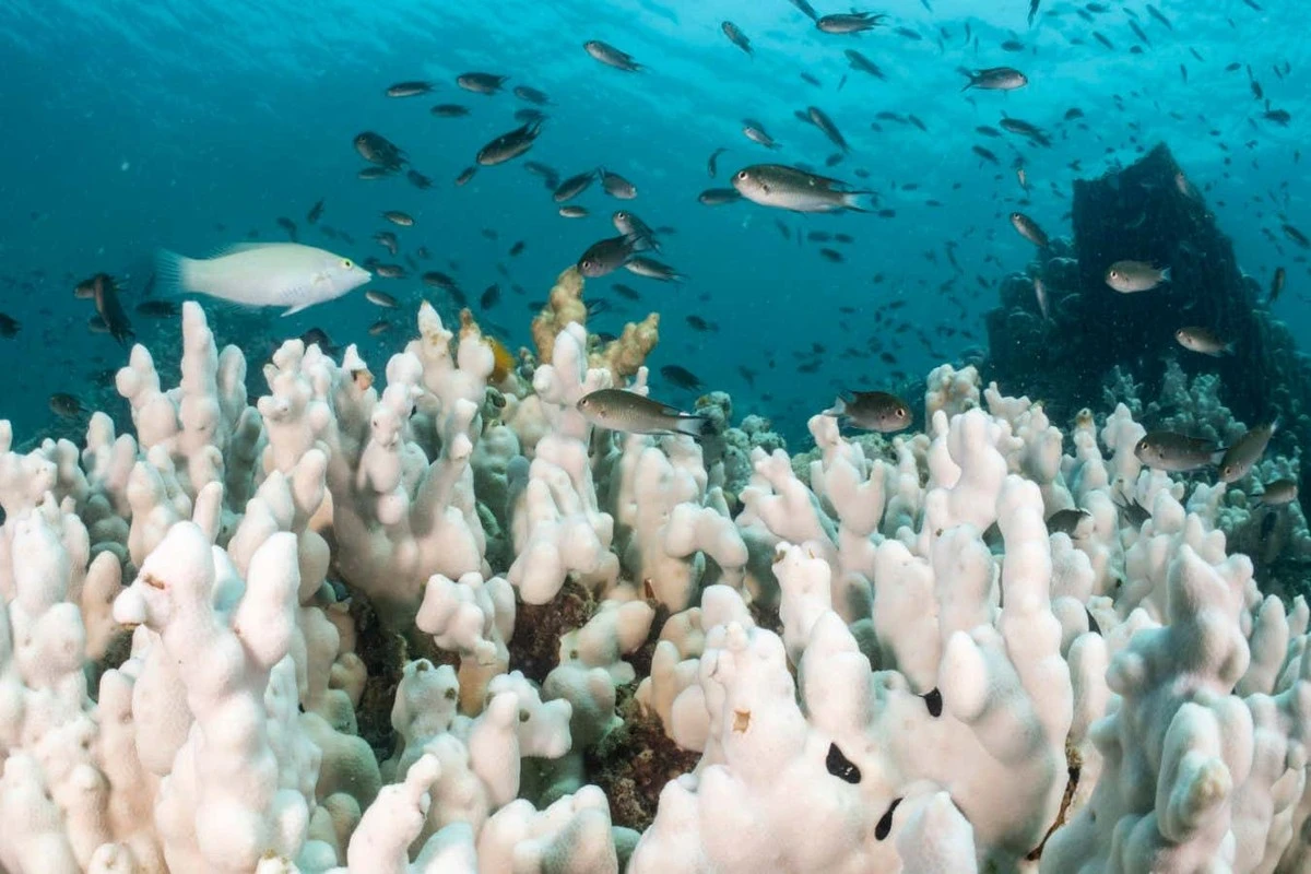 Waarom de aarde plotseling twee keer zo snel opwarmt