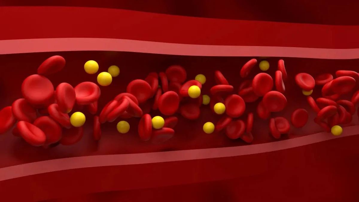 Waarom cardiologen vaker adviseren om een schaaltje olijfolie op tafel te zetten