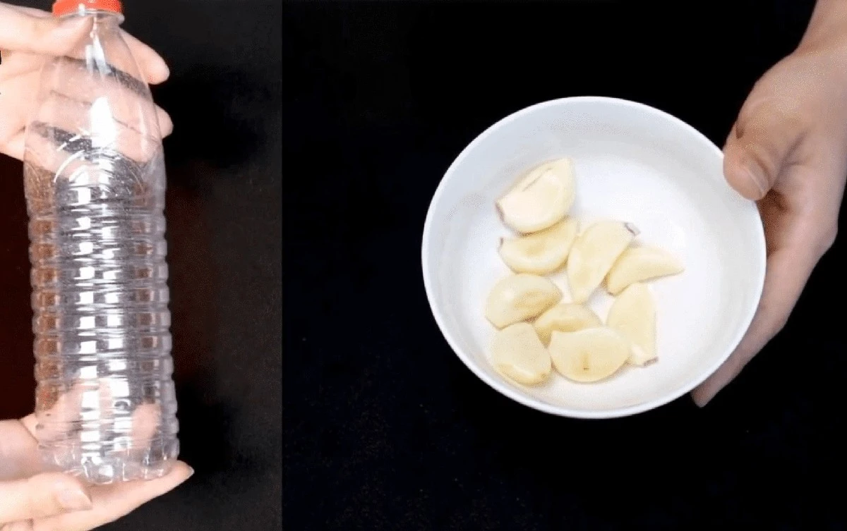 Waarom ervaren koks altijd een plastic flesje gebruiken voor hun knoflook