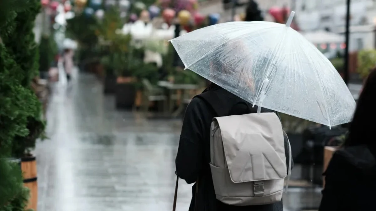 Waarom je een natte paraplu nooit helemaal open moet laten drogen