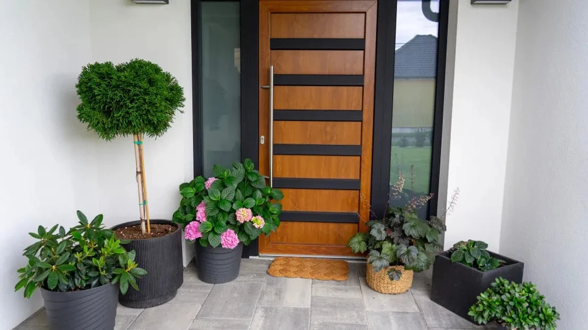 Waarom Feng Shui-experts altijd een Sansevieria bij de voordeur zetten