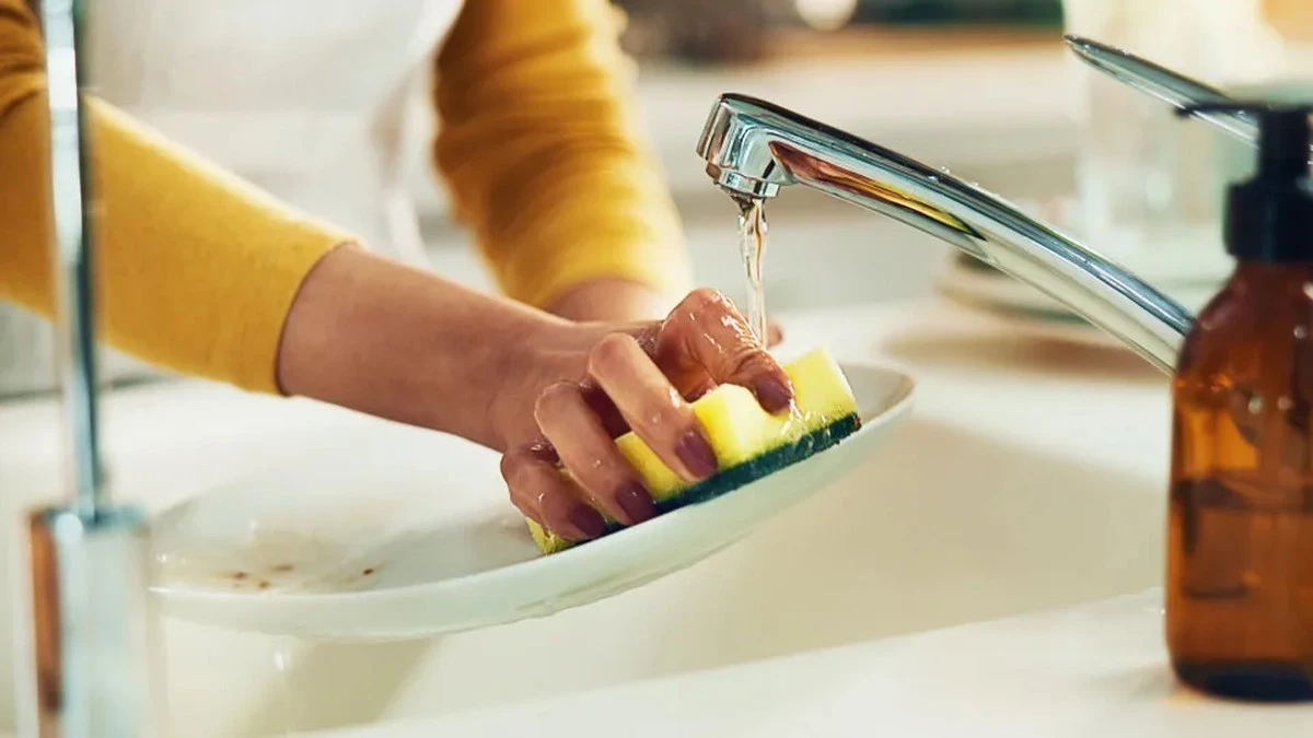 Waarom ervaren koks elke week de keukenspons in de prullenbak gooien