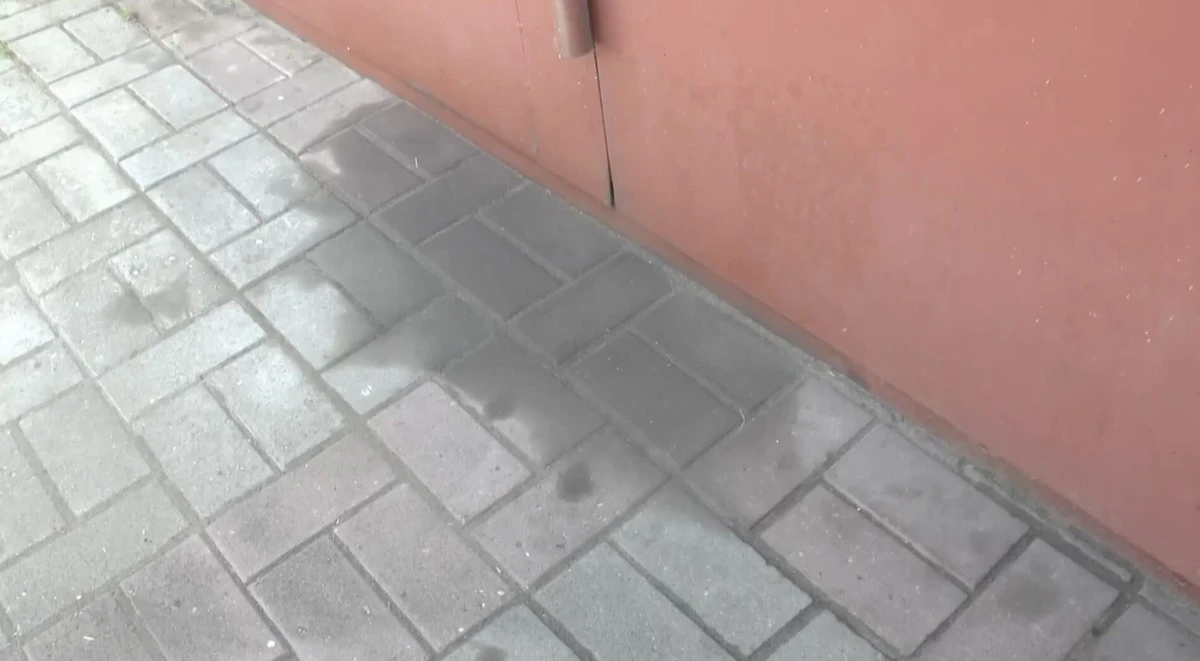 Waarom slimme buren een zak kattenbakvulling op hun oprit bewaren