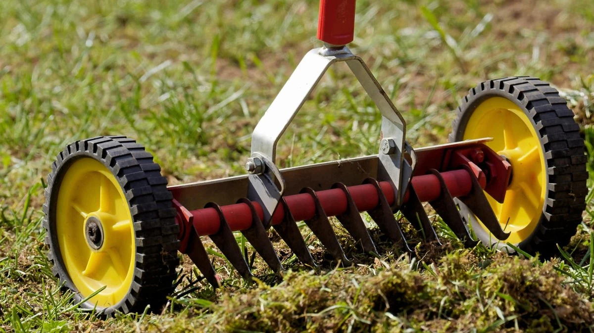 Waarom ervaren tuiniers pas na de tweede maaibeurt hun gazon verticuteren