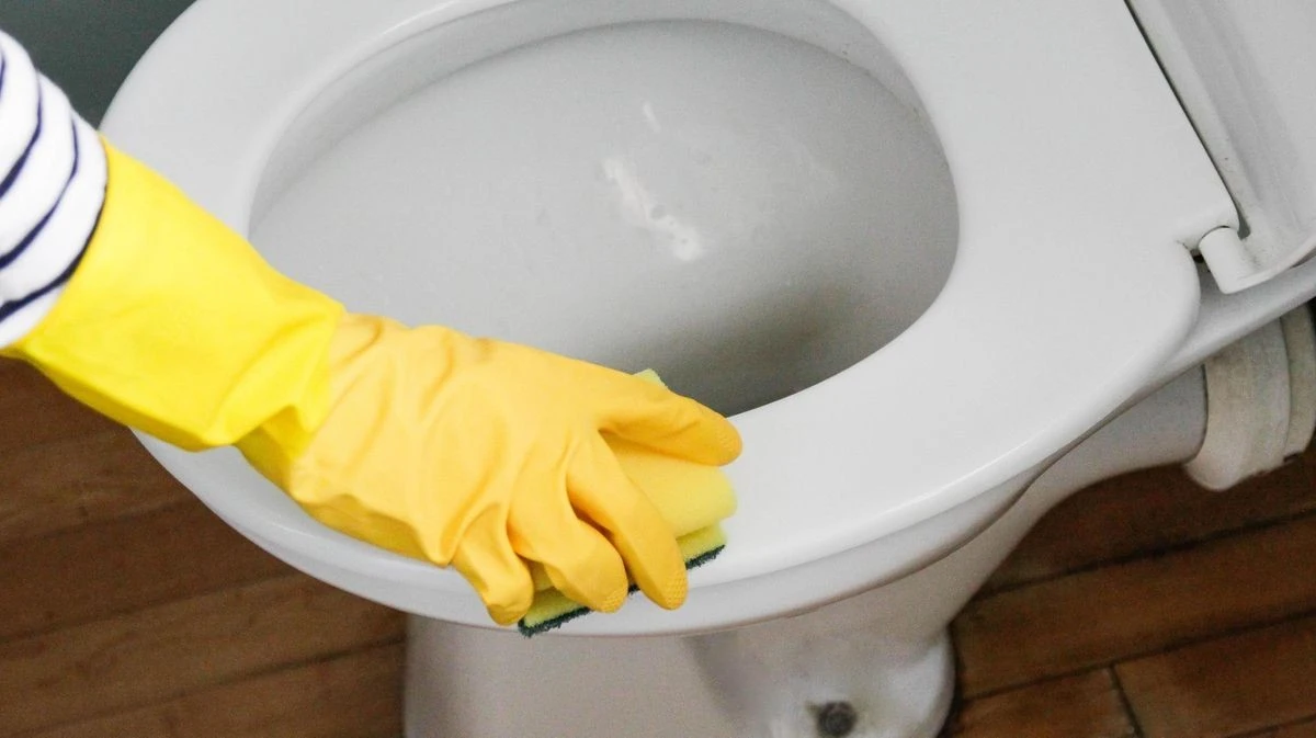 Waarom slimme huishoudens tegenwoordig een halve citroen op de wc-bril leggen