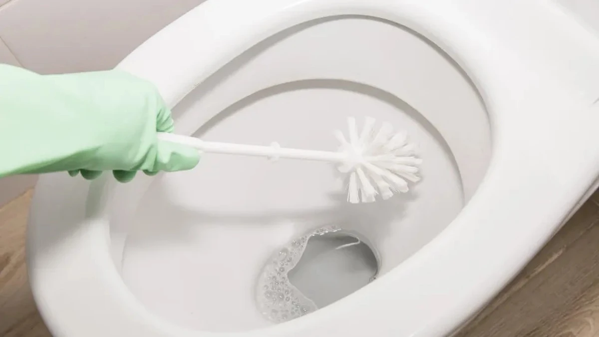 Waarom ervaren schoonmakers altijd een kopje azijn in het toilet gieten voor het slapengaan